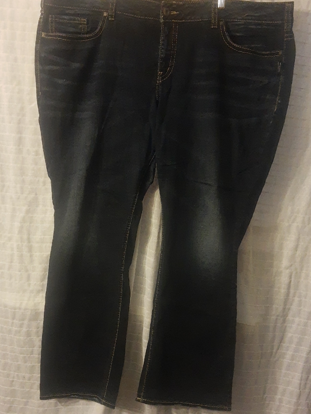 Silver Jeans Women's Straight Leg in Dark Wash